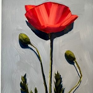 Red Poppy